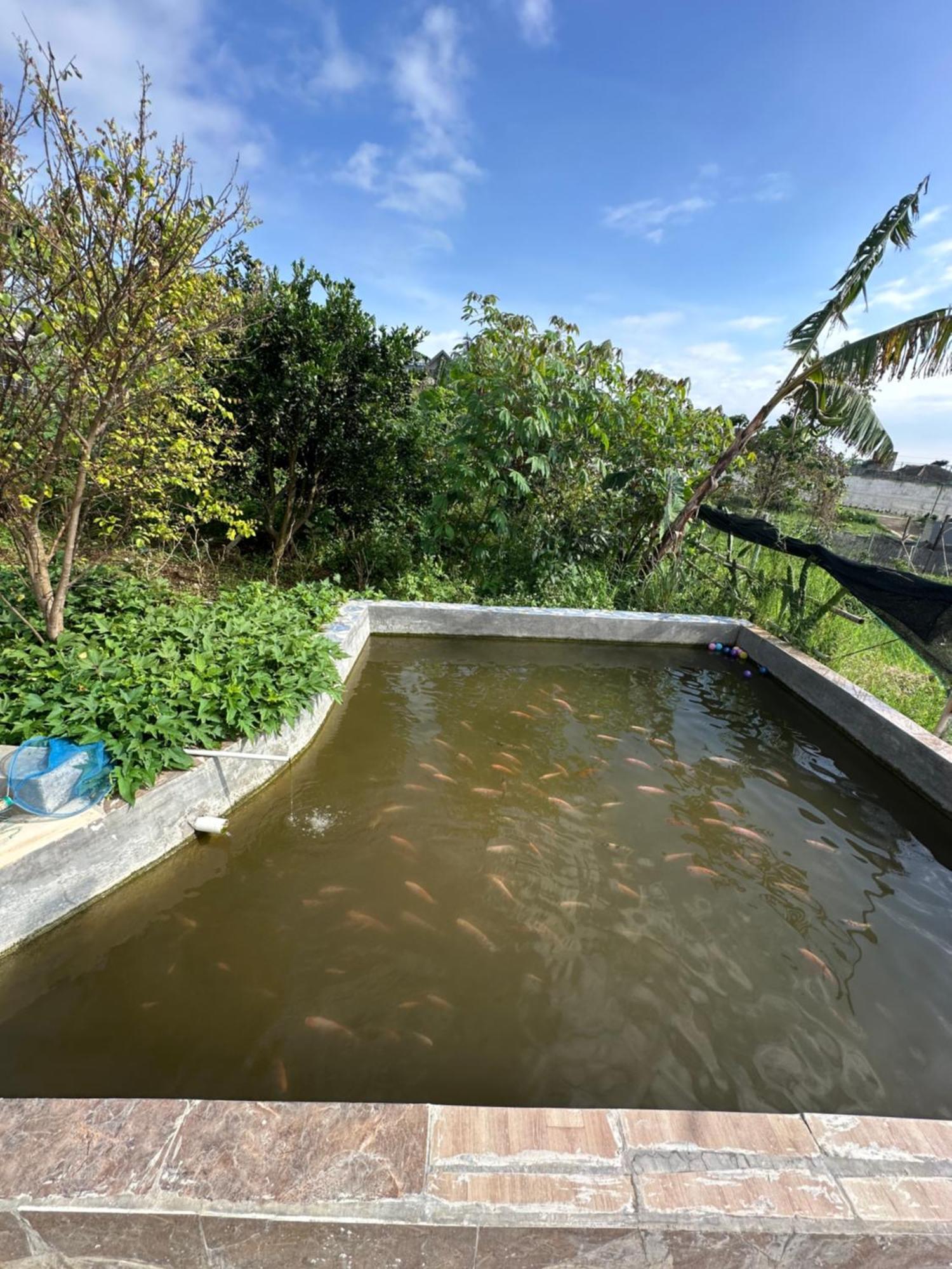 Jason Farm Villa Pacet  Exterior photo